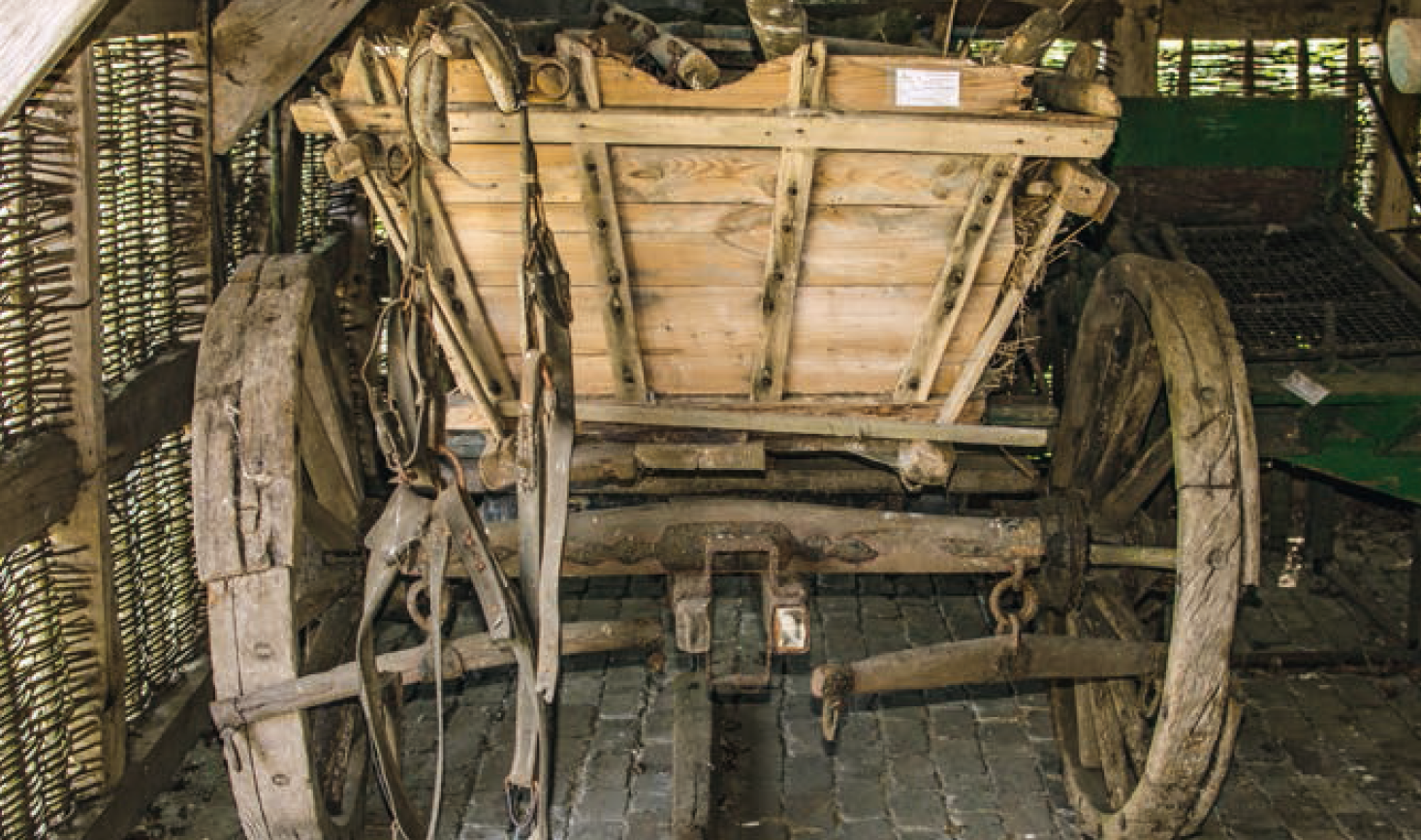 Augustendorf2